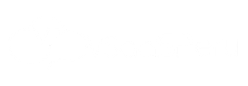 Logo de VSAAS PERU